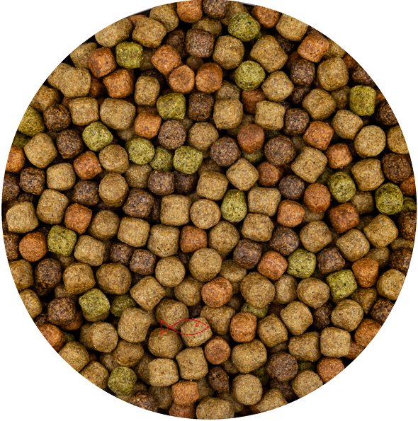 BluFeed – Premium Japan Mix – Koi – Fischfutter Teich – 6 mm – 6 kg