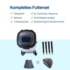 BGSF-6_de_6.jpg