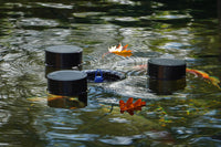 Blätter im Herbst aus dem Teich entfernen
