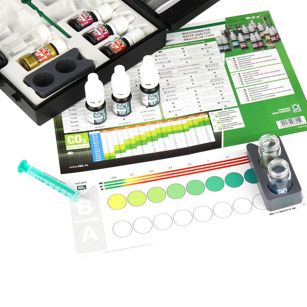 Houd je vijver gezond met een simpele test